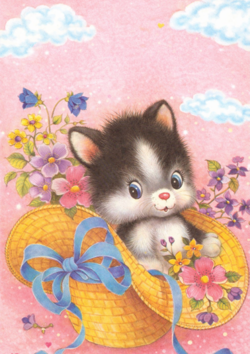 Coleção Playful Kittens